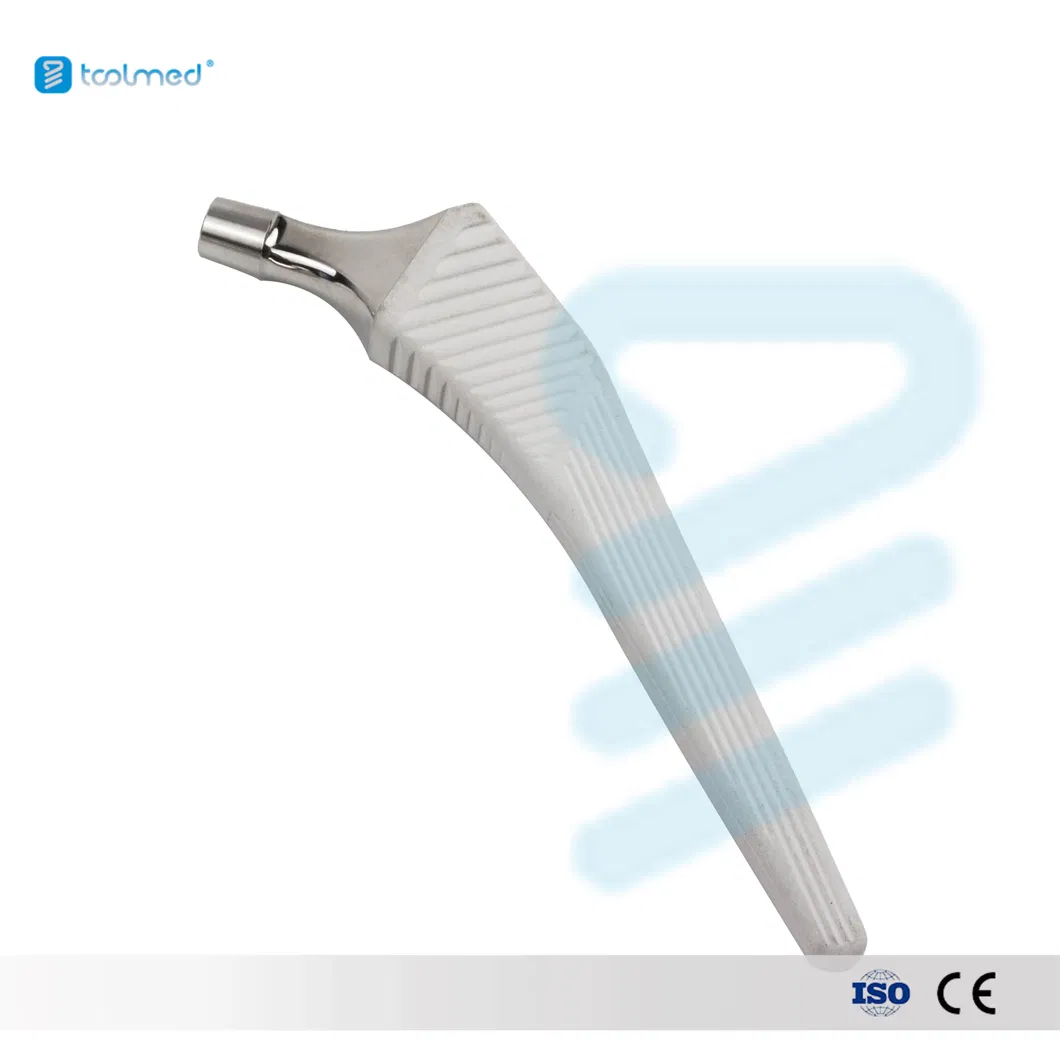 Advanced Prosthesis Design