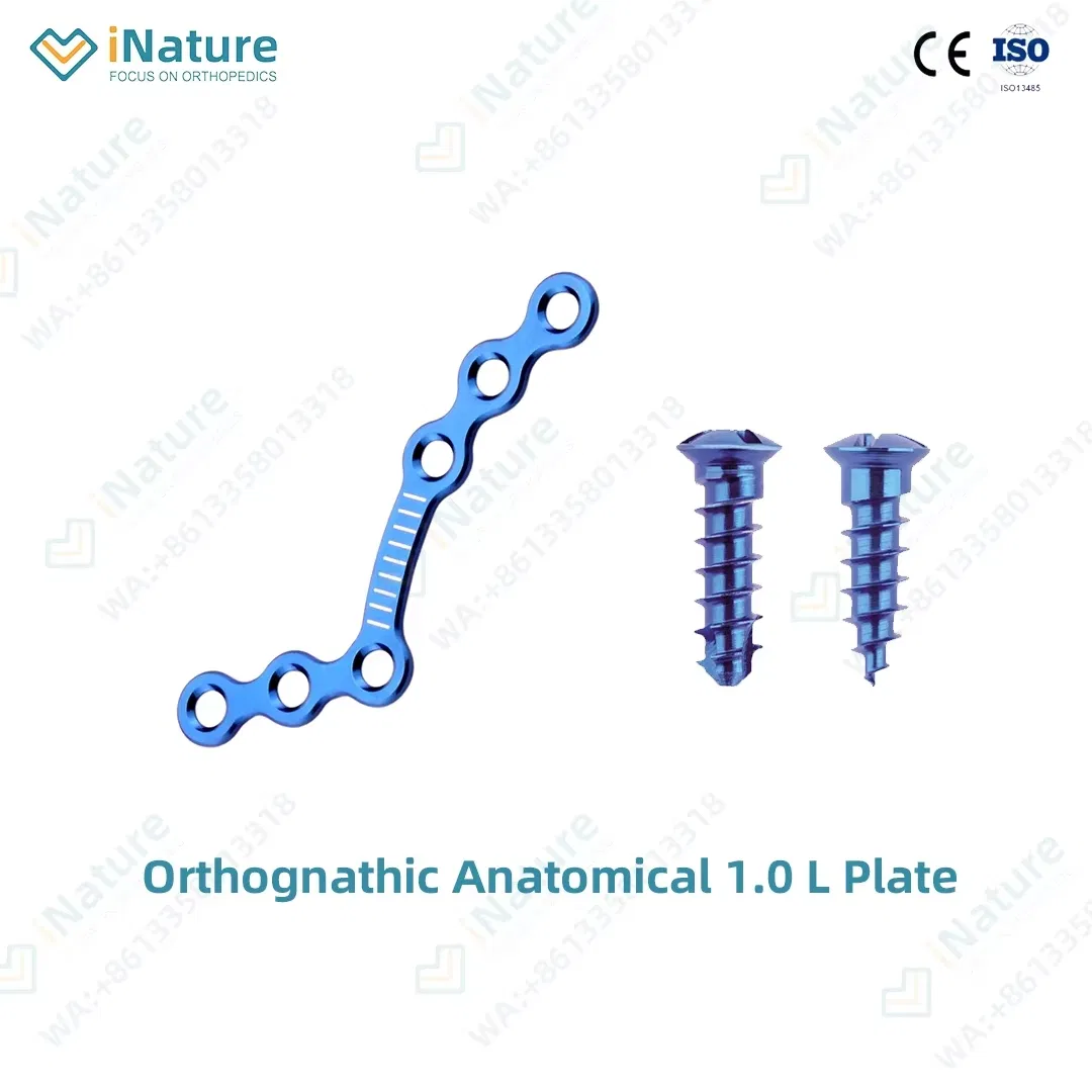 Maxillofacial Implants 1.0mm Pure Titanium Anatomical L-Plate 6 Holes