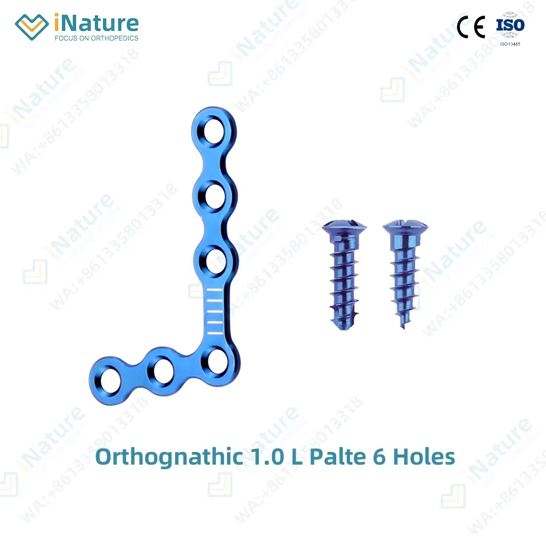 Maxillofacial Implants 1.0mm Pure Titanium Anatomical L-Plate 6 Holes