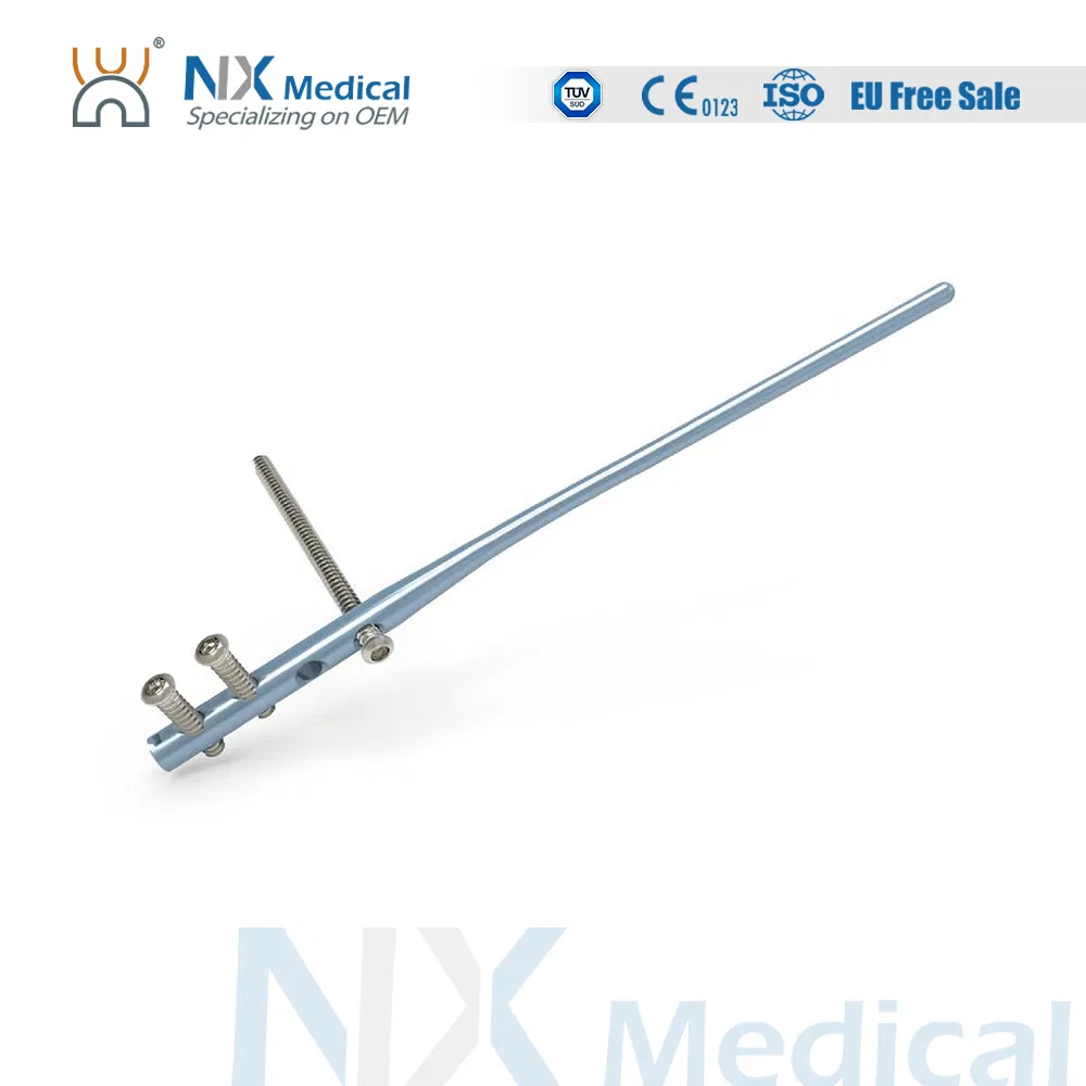 Orthopedic Implant Fibular Nail System Interlocking Intramedullary Nail