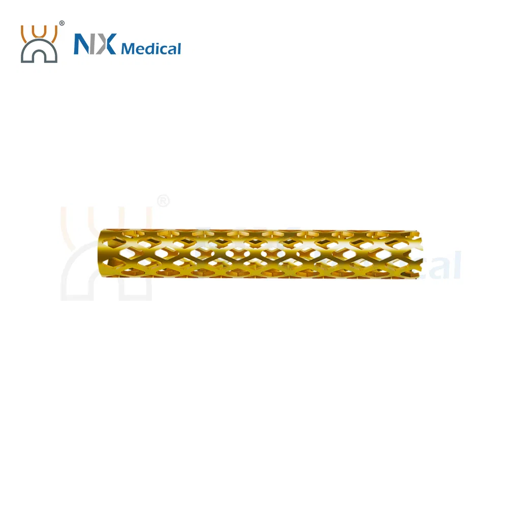 Nx Medical OEM Support Titanium Tlif Cage Peek for Posterior Lumbar Interbody Fusion