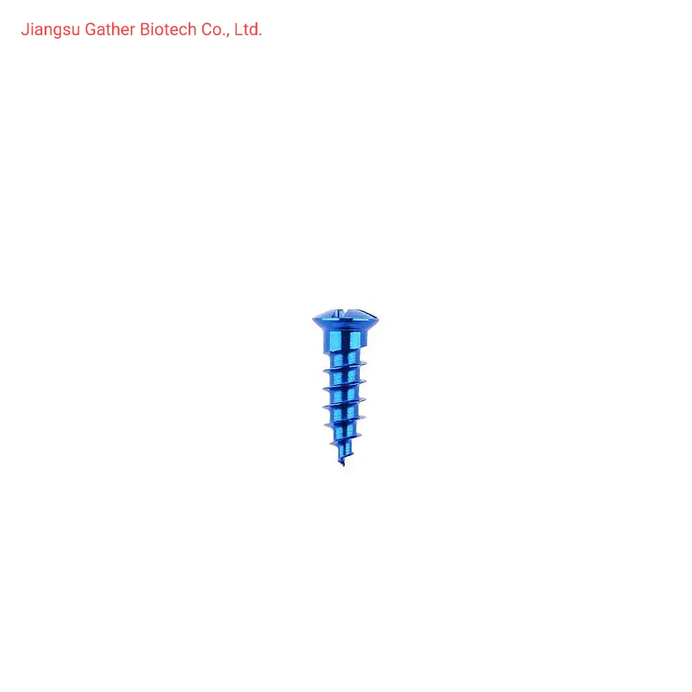 Orthopedic Surgery Implant Maxillofacial Mini Straight Plate Head Bone Plate