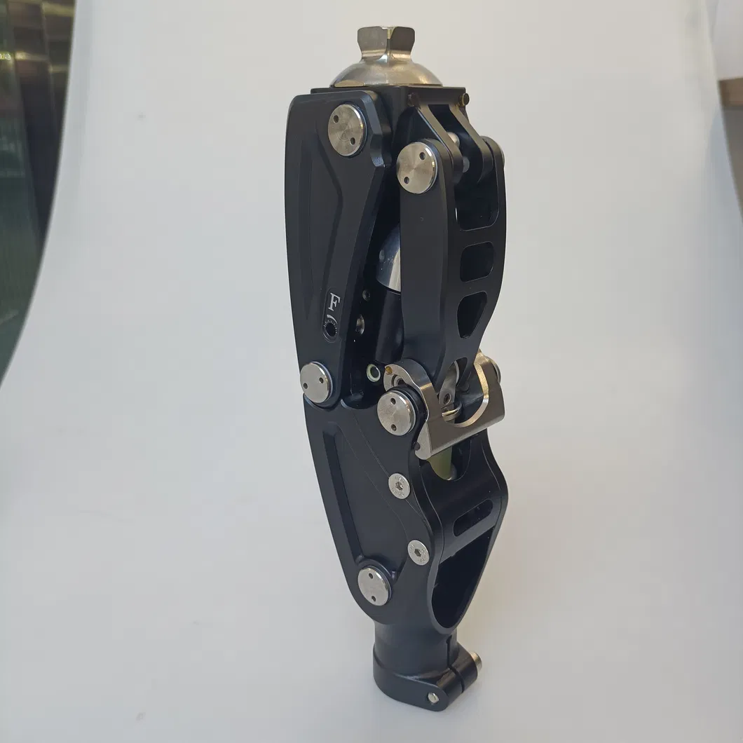 Prosthetic Knee Joint Photo 5