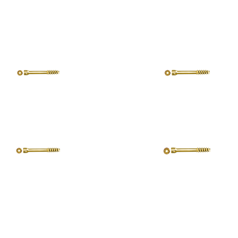 Orthopedic Implants Countersunk Cannulated Compression Screw for Surgery