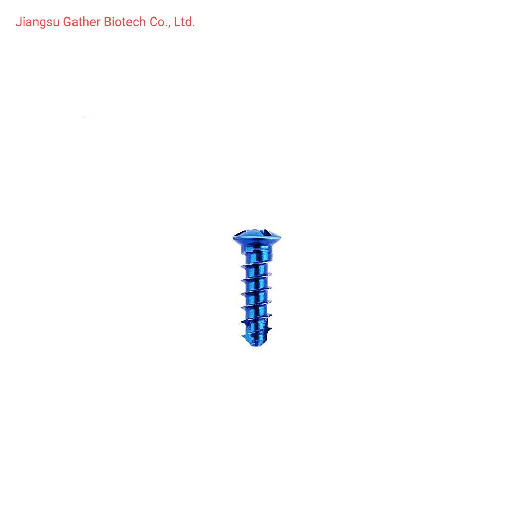 Orthopedic Surgery Implant Maxillofacial Mini Straight Plate Head Bone Plate