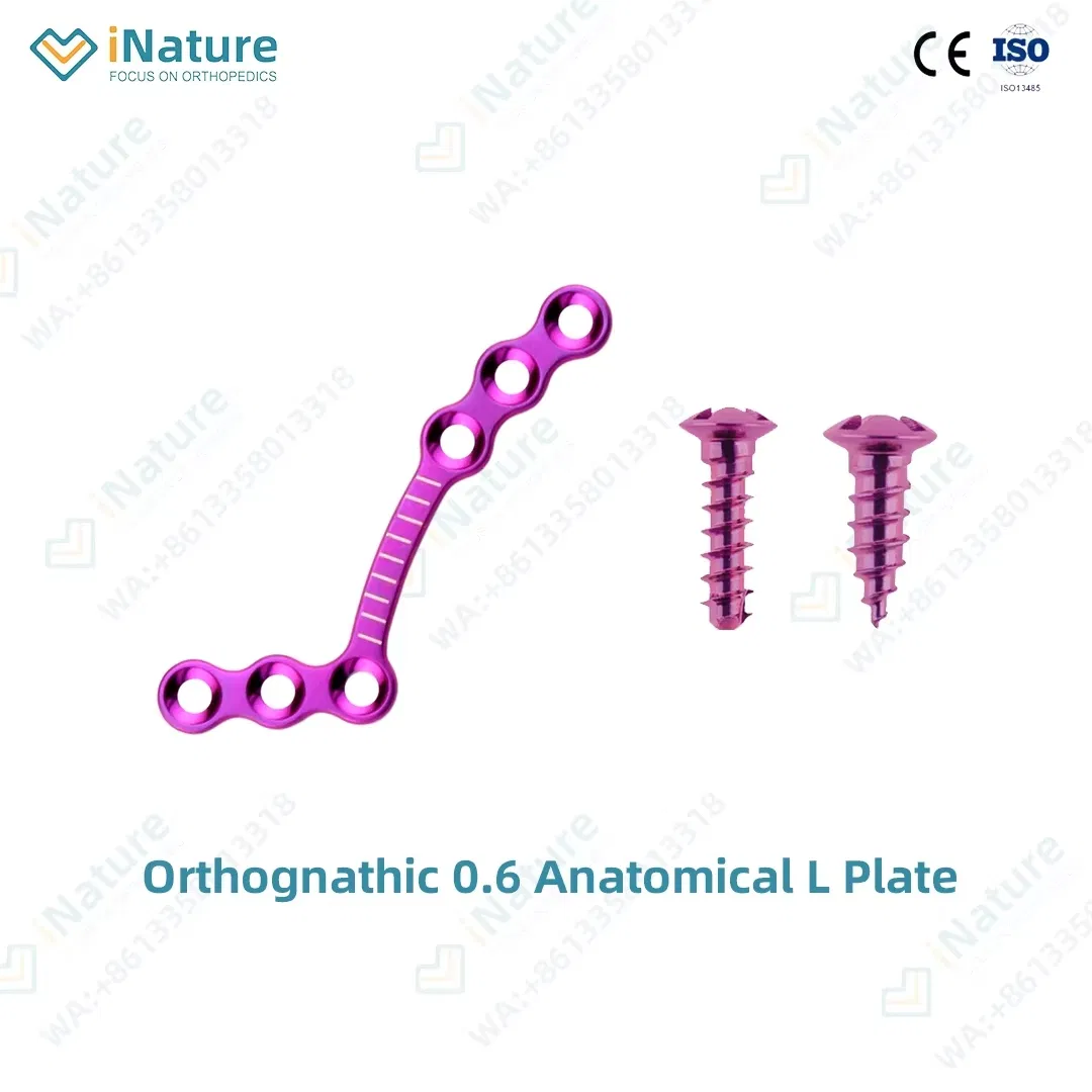 Maxillofacial Implants 1.0mm Pure Titanium Anatomical L-Plate 6 Holes
