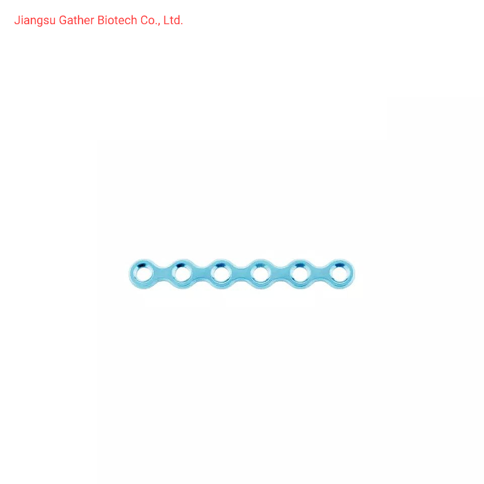 Orthopedic Surgery Implant Maxillofacial Mini Straight Plate Head Bone Plate