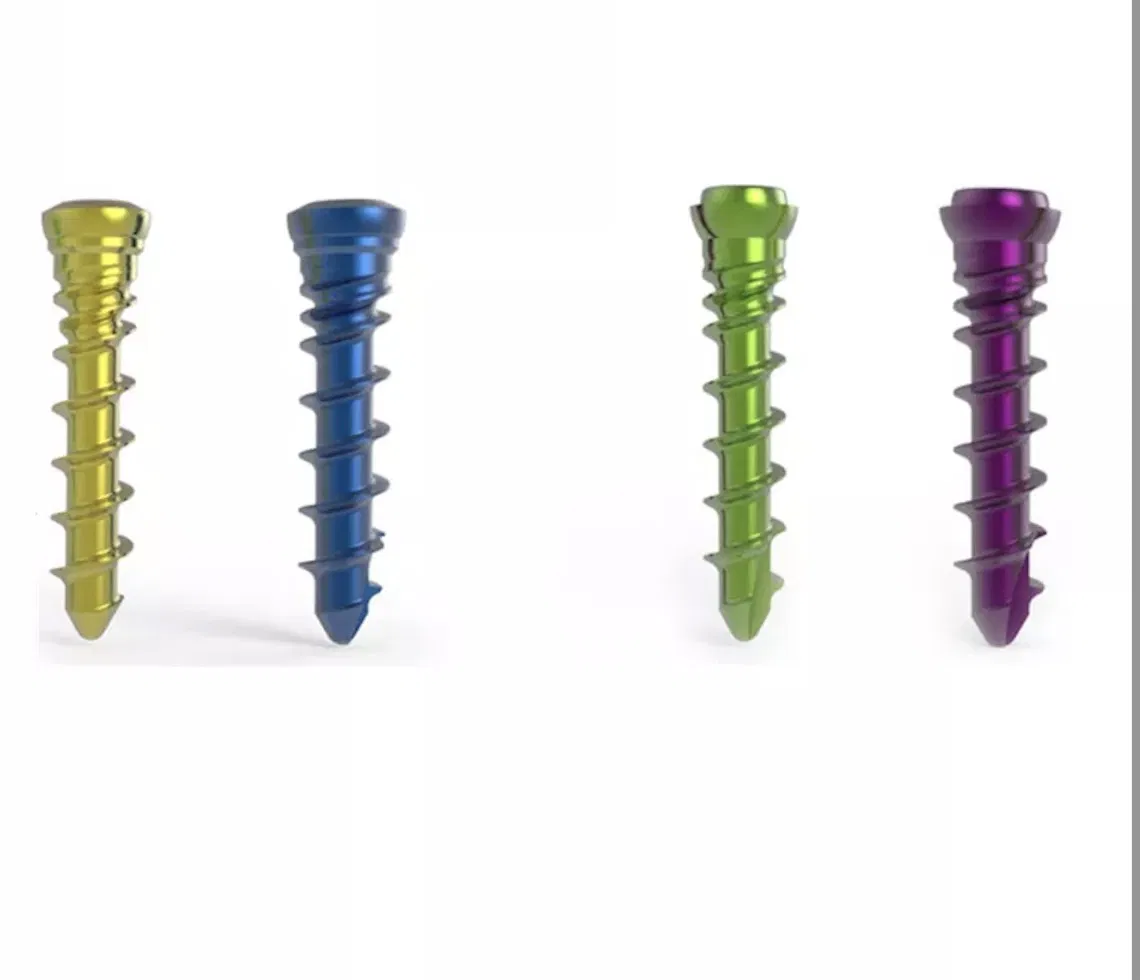 Anterior Cervical Fixation System with Screw for Cervical Spine with CE Certificate