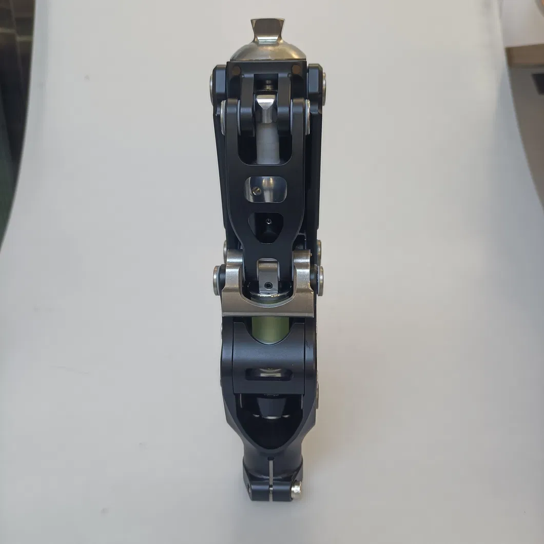 Prosthetic Knee Joint Photo 4