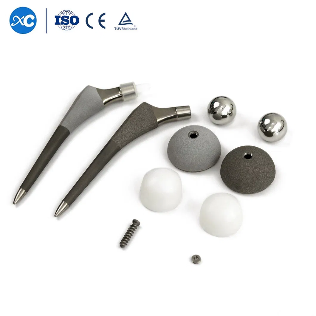 Artificial Hip and Knee Joint Replacement 4