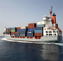 International Transport