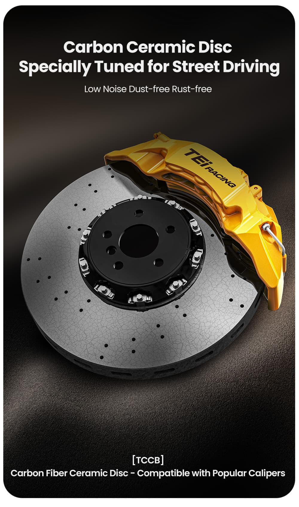 TEI Carbon-Ceramic Brake Disc Details 1