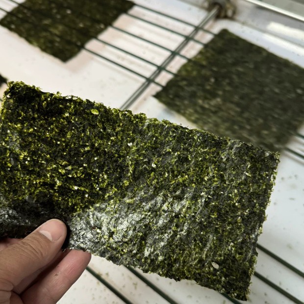Cross-border Runchang Commercial Seaweed Sheets Rice Ball Sushi Large Sheets Restaurant Japanese Dried Seaweed Sheets (Nori Sheet)