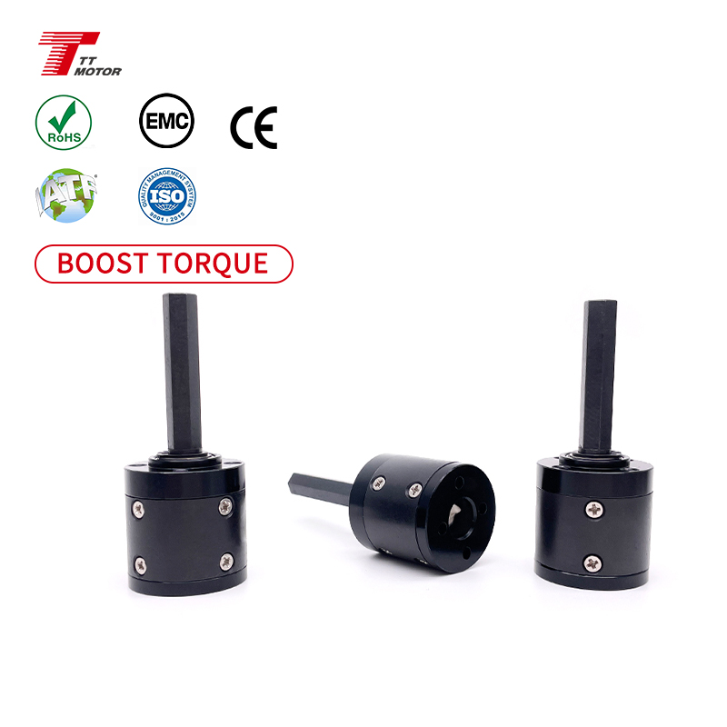 GMP42 TT Motor Dual Axle DC 24 Volt 30 Kg.cm Low Speed Planetary Reduction Box Mental Shaft for Recreational Vehicle