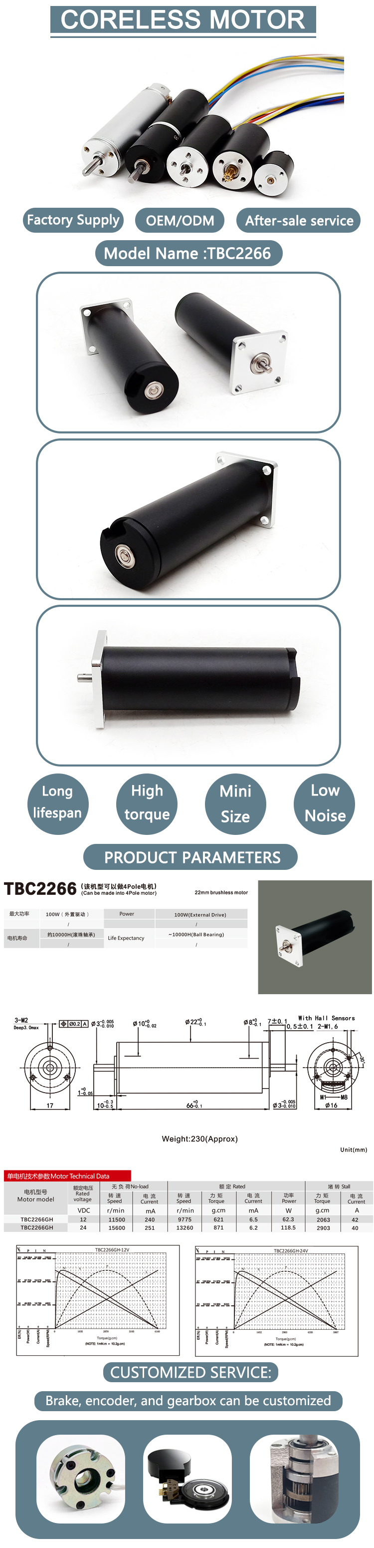 Brushless Electric Motor