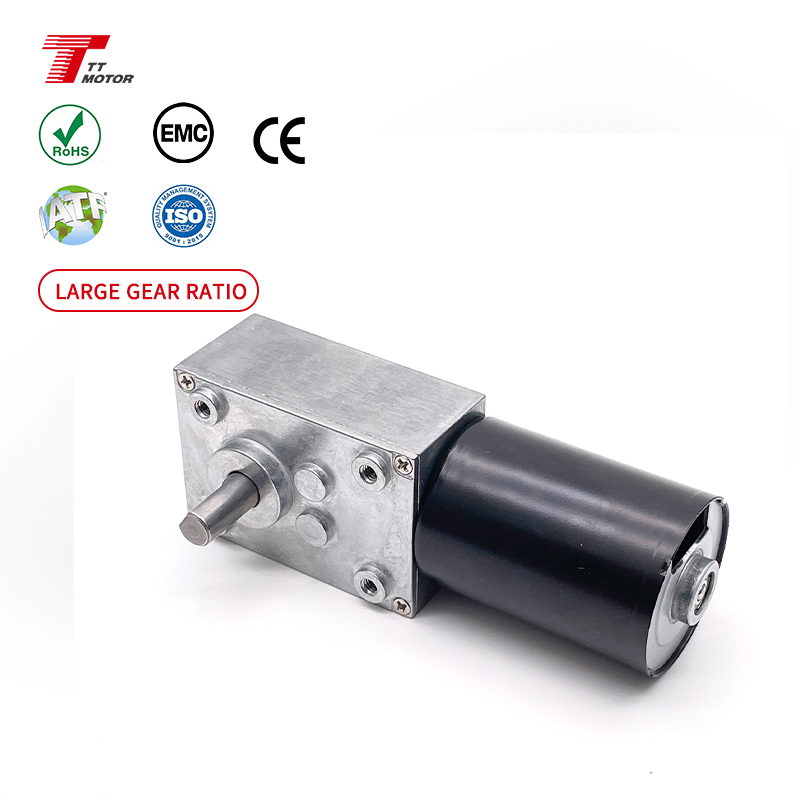 TWG4058-TEC3650 Low Speed High Torque 36mm Brushless Motor with 40*58mm Worm Gearbox 12V 24V Dc Worm Gear Motor