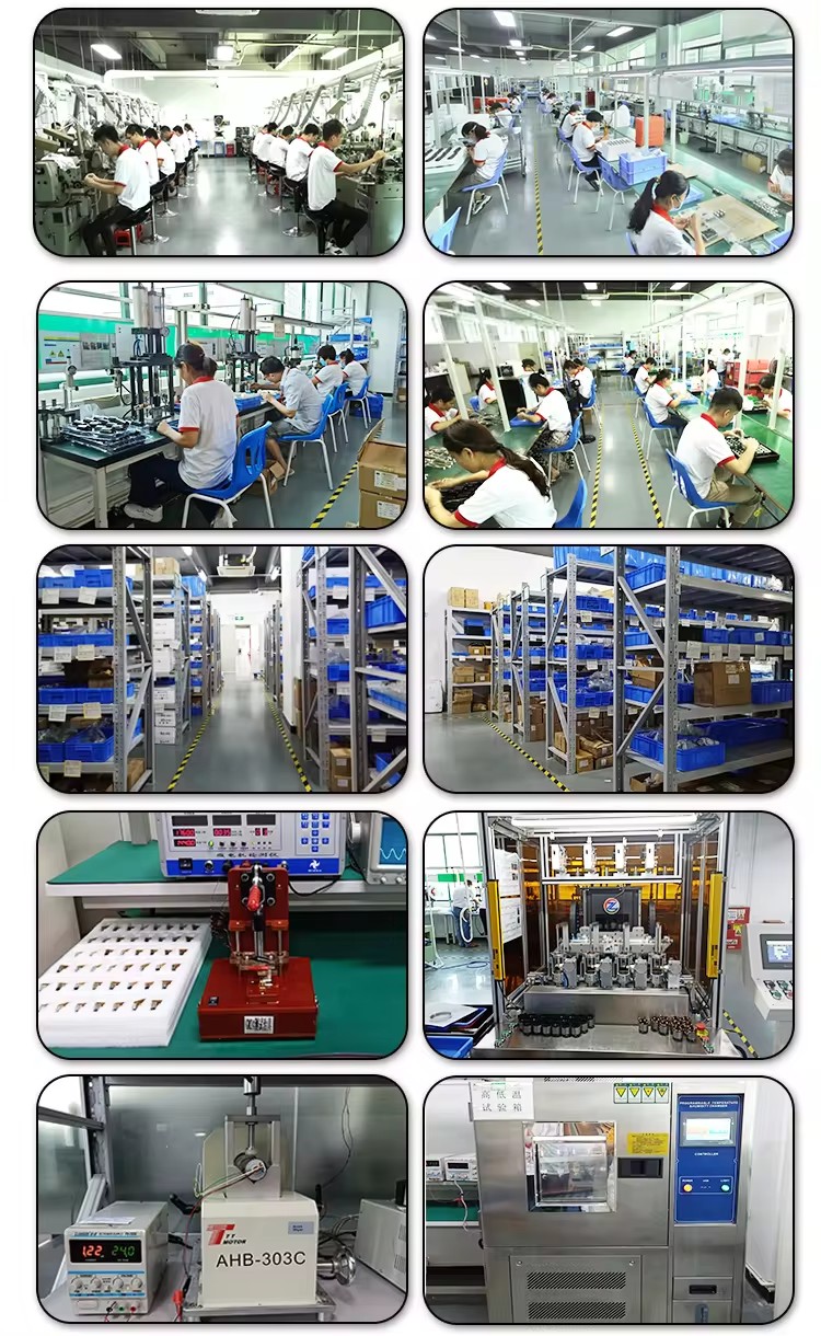Company Profile