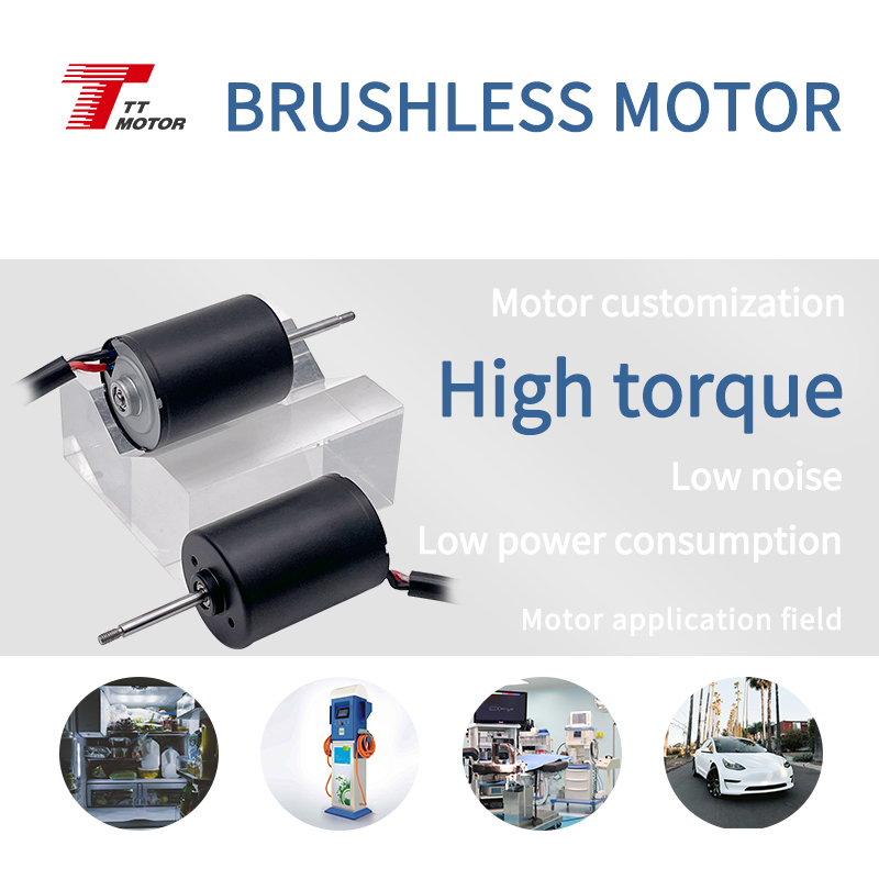 OEM 12V 24V Mini Small Brushless Motor Can Add Gearbox for Smart Home Appliances and Hair Dryer Permanent Magnet DC Motor