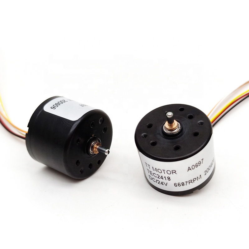 TT Motor High RPM Micro Electric Motor BLDC Mini Generator 12V 24V Brushless DC Motor for Electric Car Fan