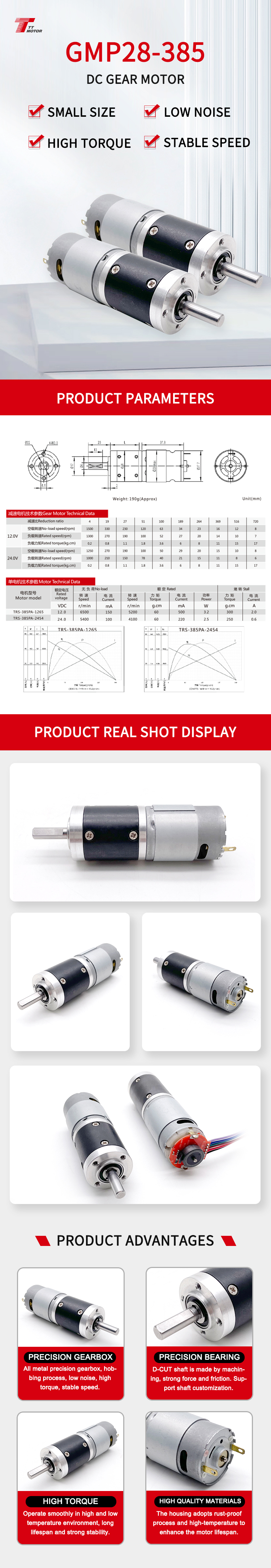 Motor Detail 1