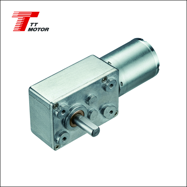 12v 24v Brushless Worm Gear Motor TWG3246-TEC2430 3rpm 10rpm 35rpm High Torque Permanent Magnet Worm Gear Bldc Motor