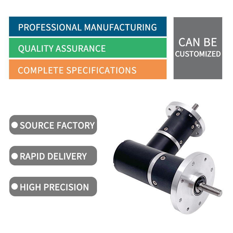 OEM 12V 24V Mini Small Brushless Motor Can Add Gearbox for Smart Home Appliances and Hair Dryer Permanent Magnet DC Motor