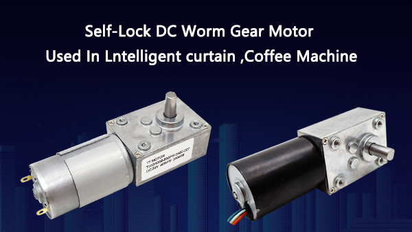 High Torqu Motor Worm Gear Motor TWG4058-555PM 12v Electric Permanent Magnet Brush DC Motor Plus 40*58mm Worm Gearbox