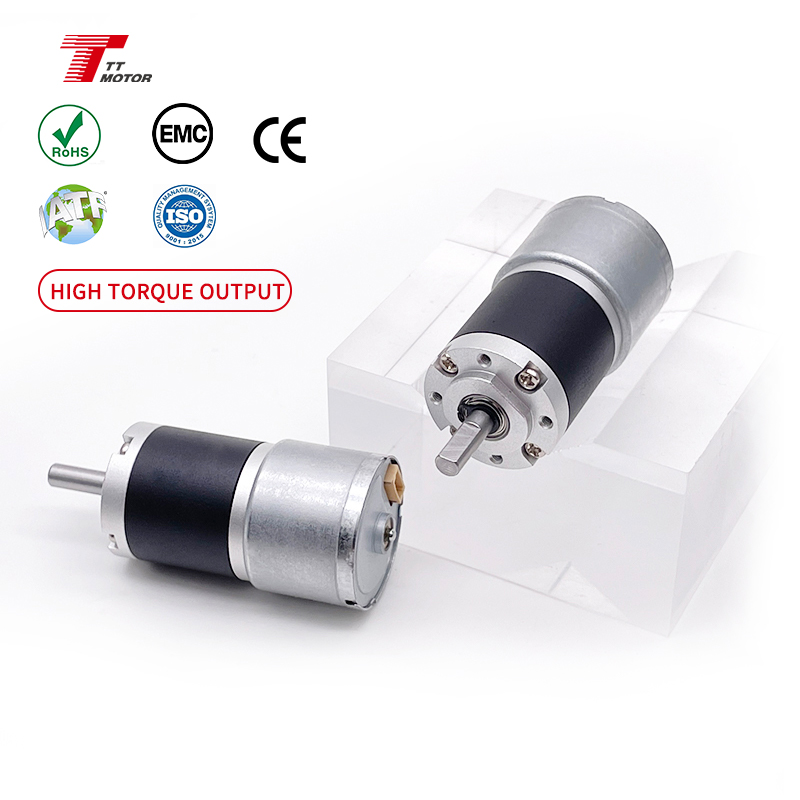 High Torque Low Noise 12v 24v GMP22-TEC2418 Brushless Permanent Magnet Motor Add 22mm Planetary Gearbox for Cleaner