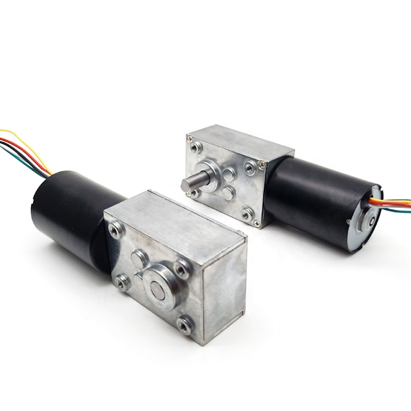 High Torqu Motor Worm Gear Motor TWG4058-555PM 12v Electric Permanent Magnet Brush DC Motor Plus 40*58mm Worm Gearbox