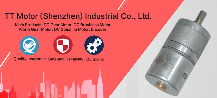Stepper Motor 2 Phase 4 Wire Brushless Stepper GM20-20BY 12v Permanent Magnet 20mm Spur Geared Stepper Motor
