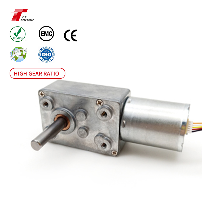 High Torque Reducer Small Hollow Shaft Self-lock Engine 24V 12V Dc Micro Electric Drive Worm Gear Motor