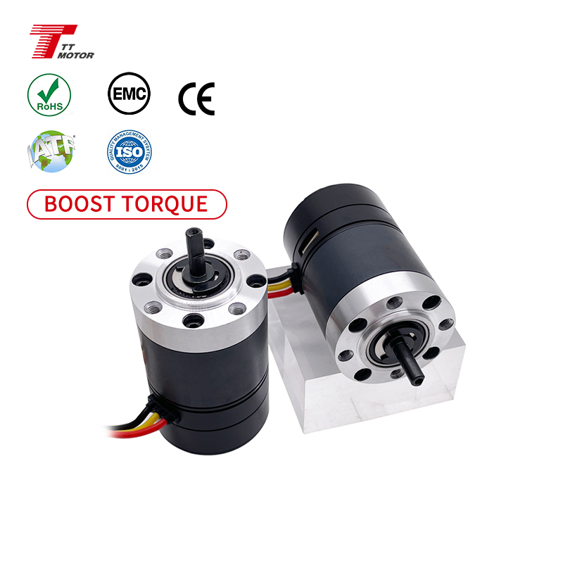 GMP42 TT Motor Dual Axle DC 24 Volt 30 Kg.cm Low Speed Planetary Reduction Box Mental Shaft for Recreational Vehicle