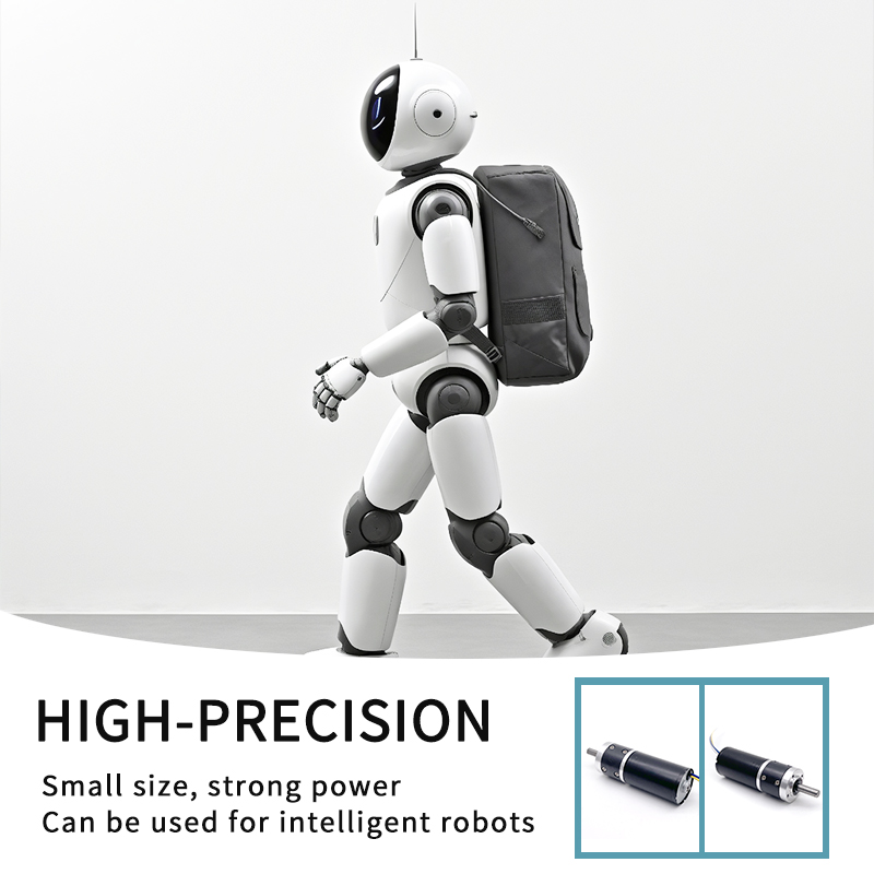 Hot Selling Reversible High Torque Reducing Electric Gearbox Motor Motor DC Brushless Motor