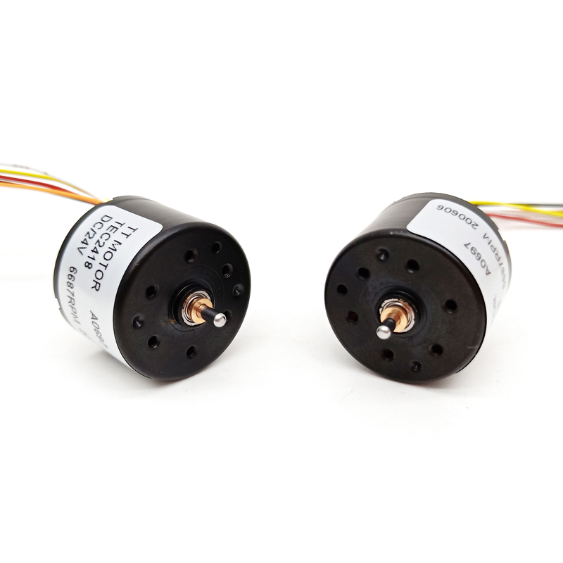 TT Motor High Speed Bldc Vibration Motor TEC2418 12v/24v PWM Brushless Dc Motor Controller