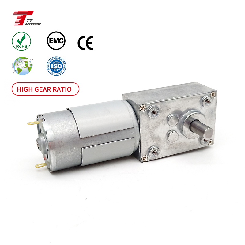 Hot Sale 555 Worm Gear Motor TWG4058-555PM 5rpm 10rpm 20rpm Permanent Magnet 12v 24v High Torque Worm Geared Electric Motor
