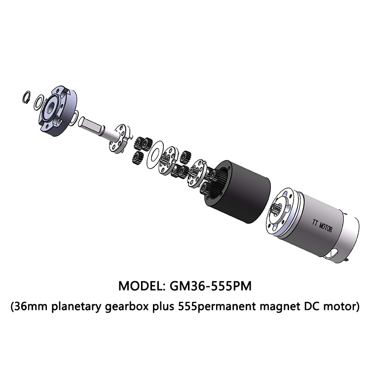 36mm Gearboxes with Brush Dc Motor High Torque 3000rpm 12v Planetary Gear Tt Motor Small Electric Motor