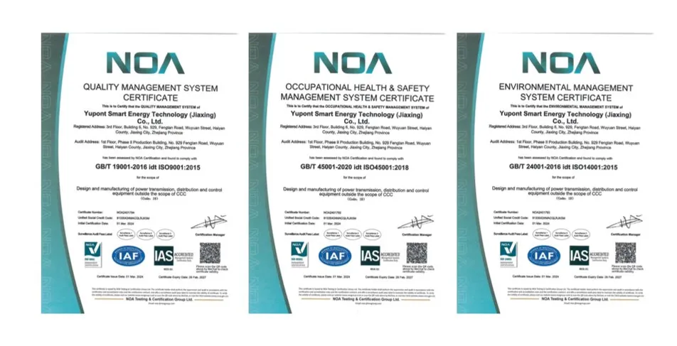 Certificado 5