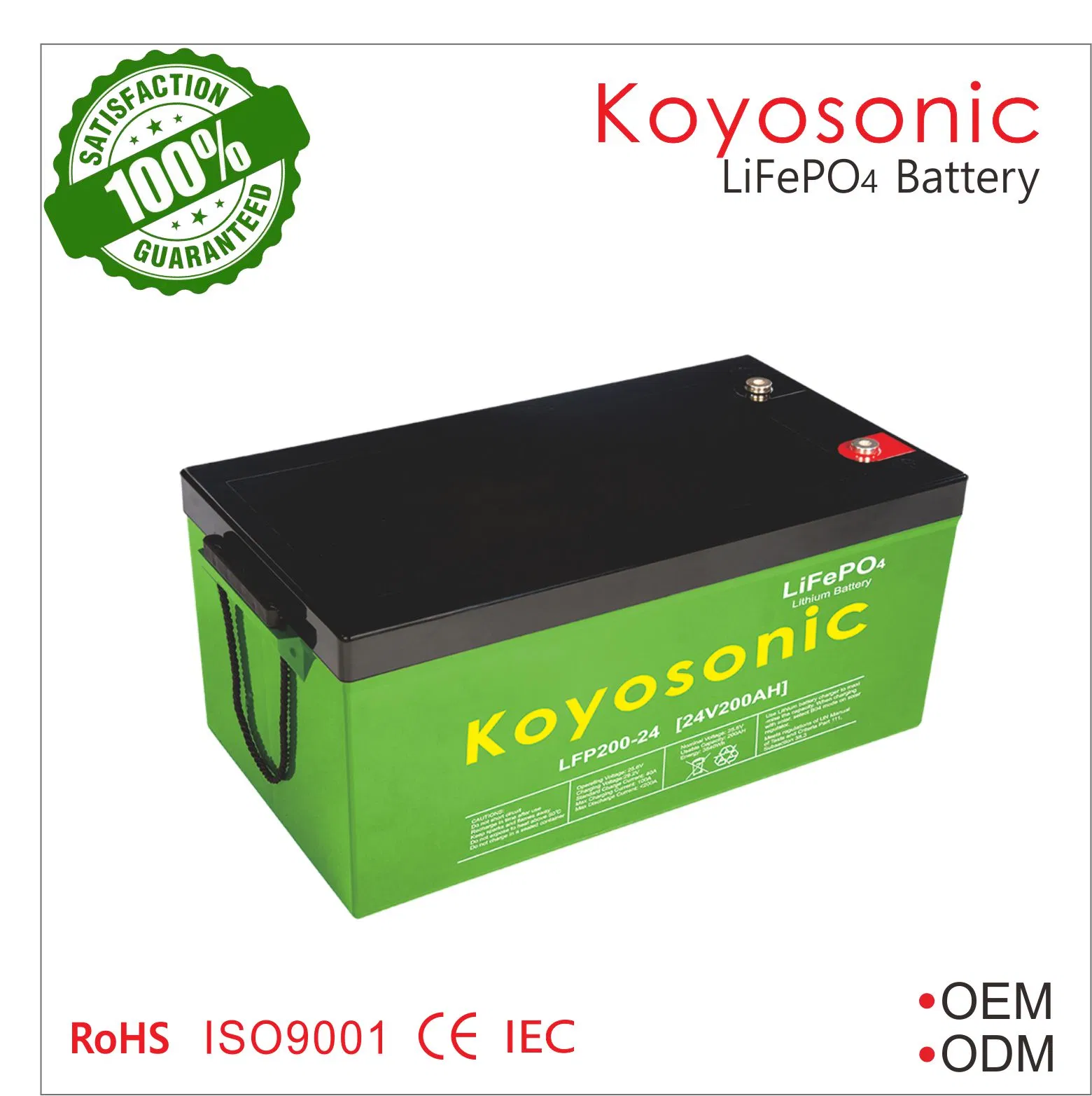24V/25.6V 120ah 200ah Batería de Ciclo Profundo LiFePO4 de Litio con BMS para Almacenamiento de Energía Solar