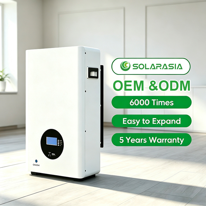 15kwh Lithium Battery Price 51.2V LiFePO4 Battery Low Voltage Solar Energy Battery Storage LiFePO4 Battery Cell for Solar System