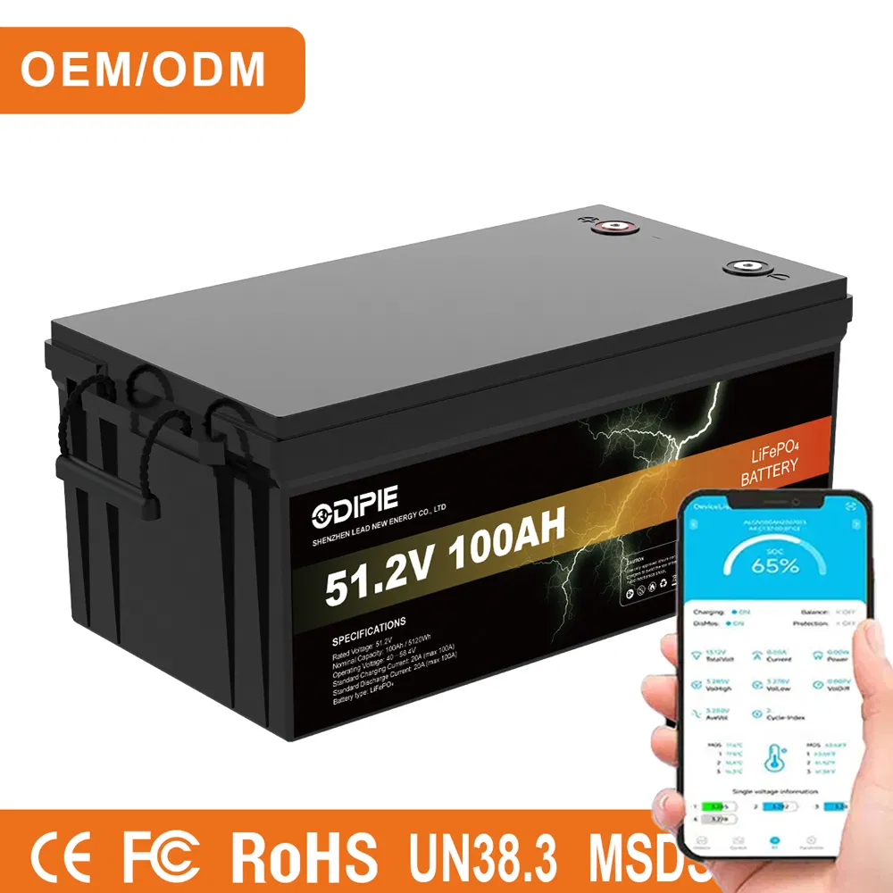 Personalizado 36V 48V 51.2V 100ah 5.12kwh CE Litio LiFePO4 Batería de Almacenamiento de Energía Solar para el Hogar con Calefacción Bluetooth OEM ODM Fábrica de China