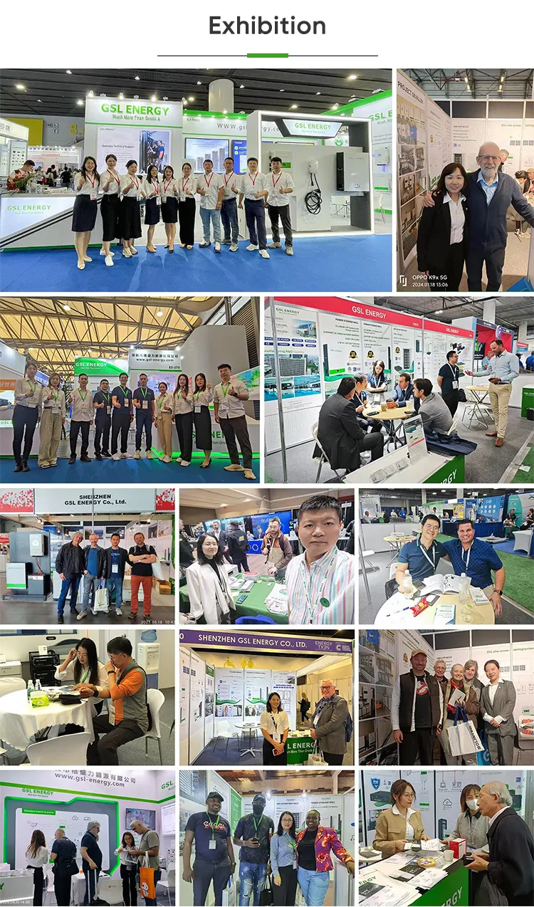 Participación en exposiciones globales