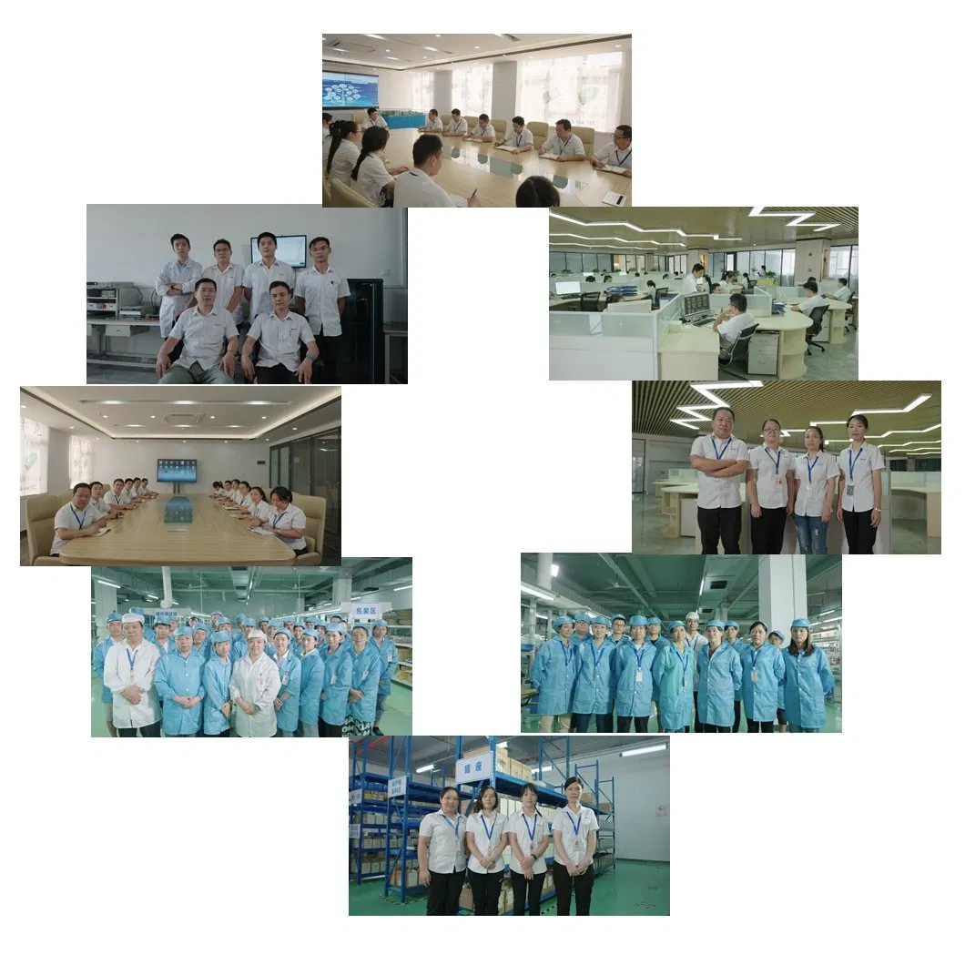 Equipo de profesionales