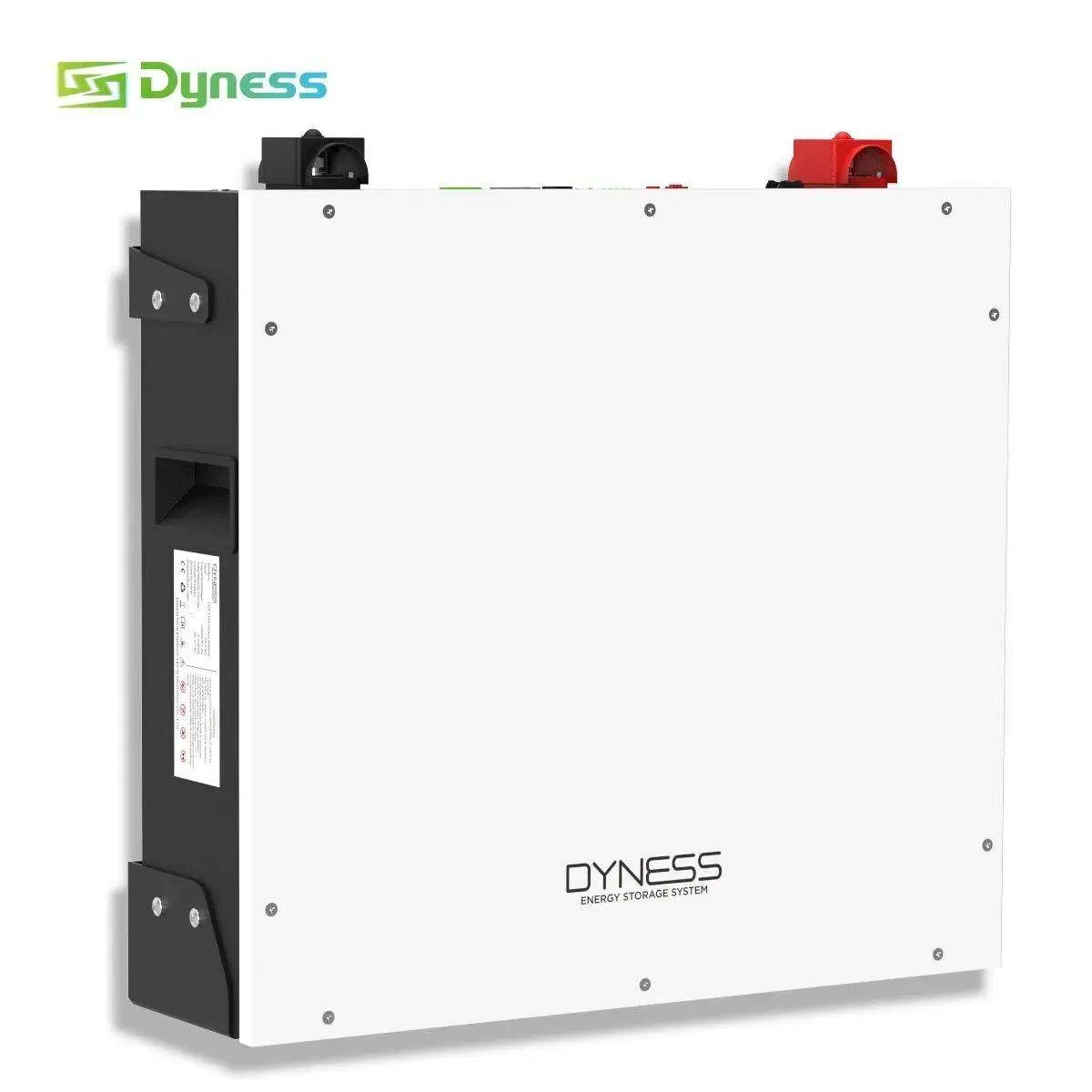 Marca Dyness Dl5.0c Baja Tensión LiFePO4 Batería Solar para Sistema de Energía en el Hogar 51.2V 100ah Montada en la Pared 5kwh Precio de Baterías de Litio