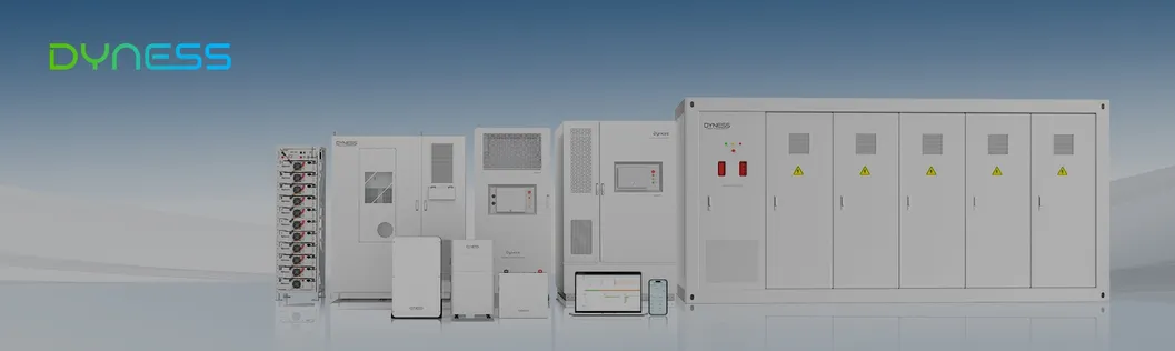 Marca Dyness Dl5.0c Baja Tensión LiFePO4 Batería Solar para Sistema de Energía en el Hogar 51.2V 100ah Montada en la Pared 5kwh Precio de Baterías de Litio