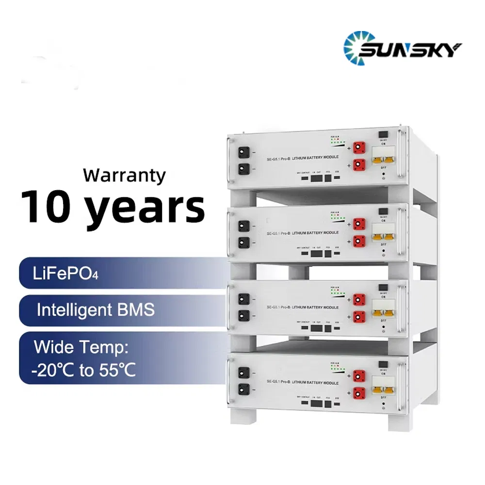 51.2V 200ah 280ah 300ah OEM ODM Personalizado Larga Vida LiFePO4 Batería de Litio Solar 10kwh 14.33kwh Batería de Almacenamiento para Carga de EV