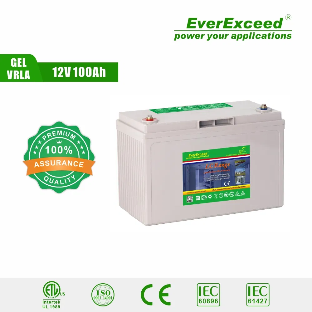 Batería Solar de Ciclo Profundo de Carbono de Plomo Everexceed 12V100ah Pb-C con 20years Vida