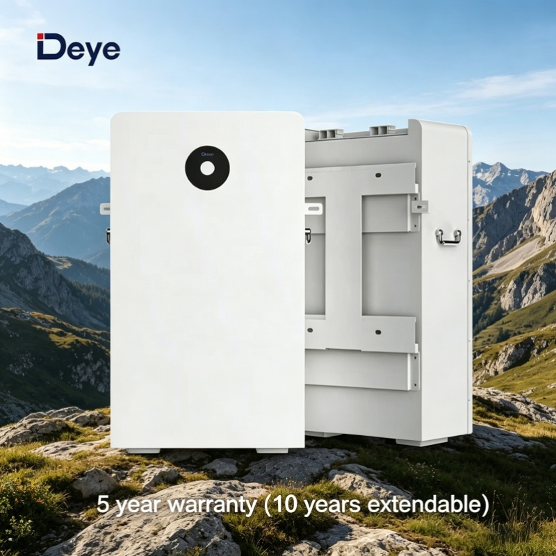 Batería Solar Deye 16kwh 51.2V 314ah LiFePO4 de Ión de Litio para Sistema de Almacenamiento de Energía Residencial