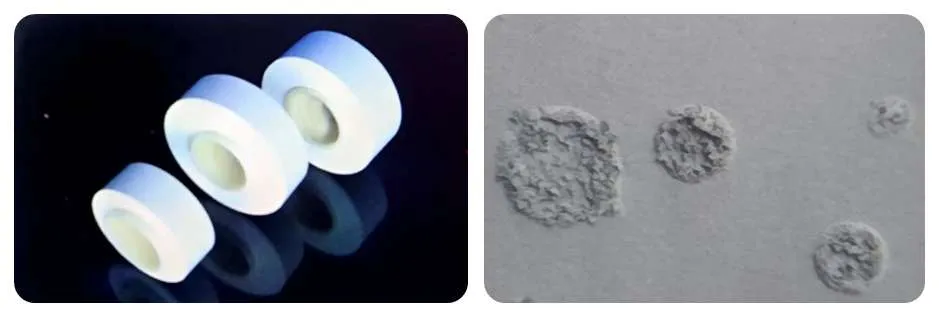 Separador con revestimiento de PVDF