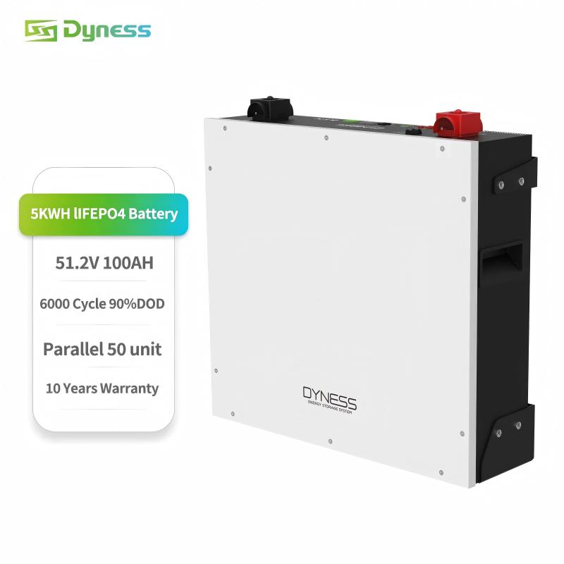 Marca Dyness Dl5.0c Baja Tensión LiFePO4 Batería Solar para Sistema de Energía en el Hogar 51.2V 100ah Montada en la Pared 5kwh Precio de Baterías de Litio