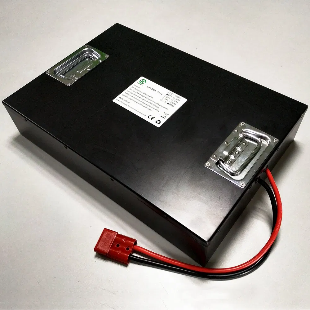 Batería de Almacenamiento Solar Marina Recargable 24V 100ah LiFePO4 de Larga Vida Útil Hecha a Medida con BMS para Sistema UPS Carrito de Golf Turismo Visitas Robot Agv Motocicleta